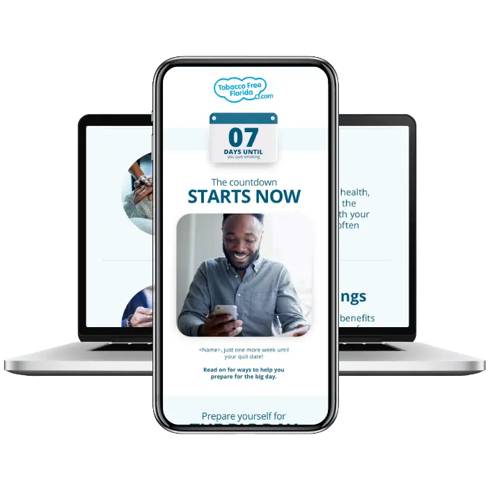 Tobacco Free Florida WordPress project preview.
